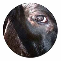 Pretty Fresian Cow Face Fridge Magnet Printed Full Colour