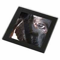 Pretty Fresian Cow Face Black Rim High Quality Glass Coaster