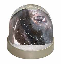 Pretty Fresian Cow Face Snow Globe Photo Waterball