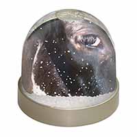 Pretty Fresian Cow Face Snow Globe Photo Waterball