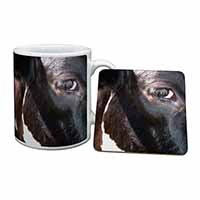 Pretty Fresian Cow Face Mug and Coaster Set