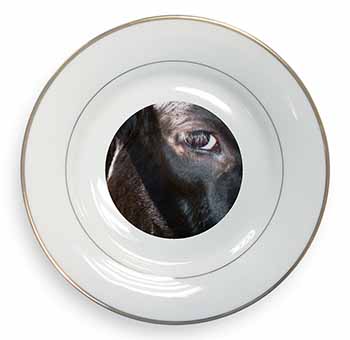 Pretty Fresian Cow Face Gold Rim Plate Printed Full Colour in Gift Box