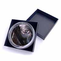 Pretty Fresian Cow Face Glass Paperweight in Gift Box