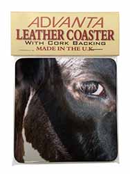 Pretty Fresian Cow Face Single Leather Photo Coaster