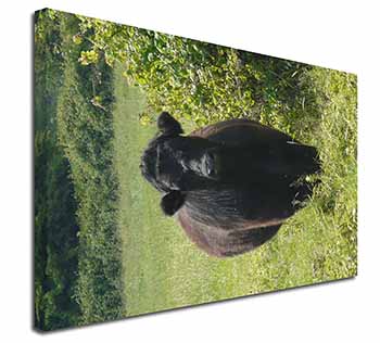 Cute Black Bull Canvas X-Large 30"x20" Wall Art Print