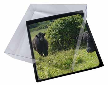 4x Cute Black Bull Picture Table Coasters Set in Gift Box