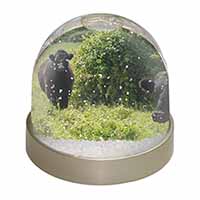 Cute Black Bull Snow Globe Photo Waterball
