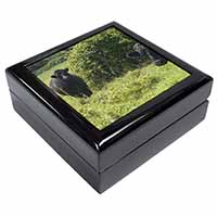 Cute Black Bull Keepsake/Jewellery Box