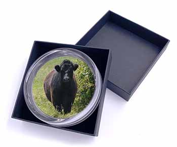 Cute Black Bull Glass Paperweight in Gift Box
