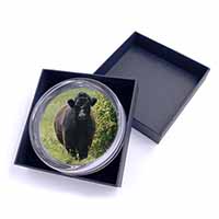 Cute Black Bull Glass Paperweight in Gift Box