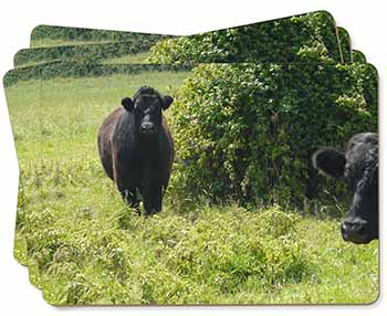 Cute Black Bull Picture Placemats in Gift Box