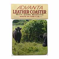 Cute Black Bull Single Leather Photo Coaster