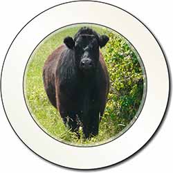 Cute Black Bull Car or Van Permit Holder/Tax Disc Holder