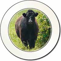 Cute Black Bull Car or Van Permit Holder/Tax Disc Holder