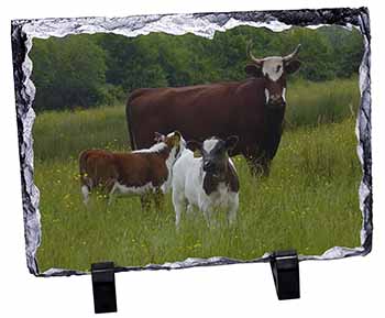 Cow with Calf, Stunning Photo Slate