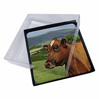 4x A Fine Brown Cow Picture Table Coasters Set in Gift Box