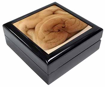 Cute Shar-Pei Puppy Dog Keepsake/Jewellery Box