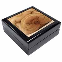 Cute Shar-Pei Puppy Dog Keepsake/Jewellery Box