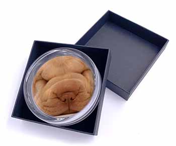 Cute Shar-Pei Puppy Dog Glass Paperweight in Gift Box