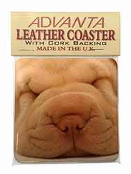 Cute Shar-Pei Puppy Dog Single Leather Photo Coaster
