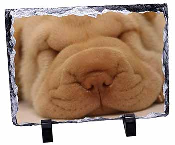 Cute Shar-Pei Puppy Dog, Stunning Photo Slate