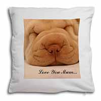 Shar-Pei Puppy 
