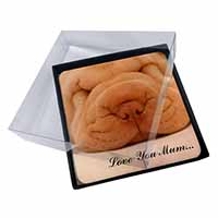 4x Shar-Pei Puppy 