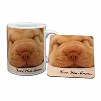 Shar-Pei Puppy 