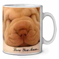 Shar-Pei Puppy 