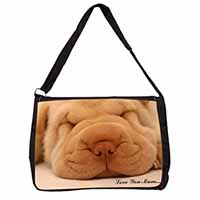 Shar-Pei Puppy 
