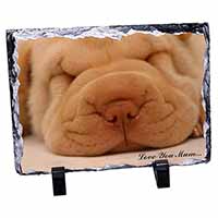 Shar-Pei Puppy 