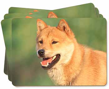 Shiba Inu Picture Placemats in Gift Box