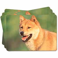 Shiba Inu Picture Placemats in Gift Box