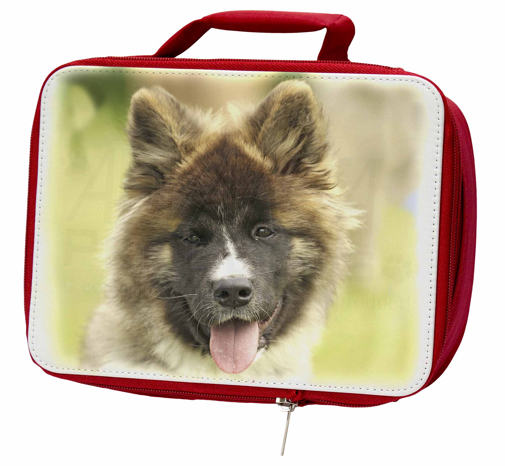 AD-BER1LBR Bernese Mountain Dog Insulated Red School Lunch Box/Picnic Bag 