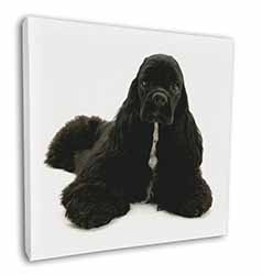 American Cocker Spaniel Dog Square Canvas 12"x12" Wall Art Picture Print