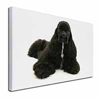 American Cocker Spaniel Dog Canvas X-Large 30"x20" Wall Art Print