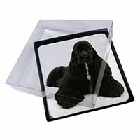 4x American Cocker Spaniel Dog Picture Table Coasters Set in Gift Box