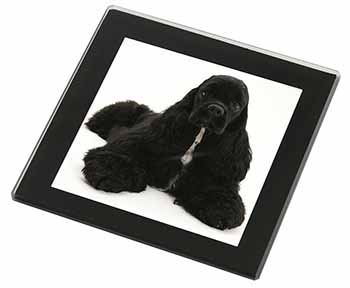 American Cocker Spaniel Dog Black Rim High Quality Glass Coaster