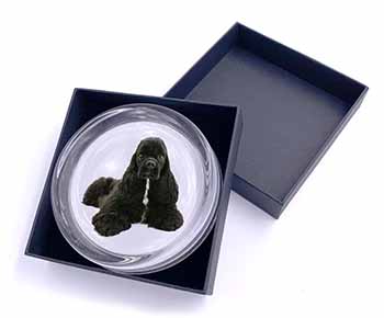 American Cocker Spaniel Dog Glass Paperweight in Gift Box