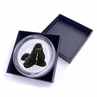 American Cocker Spaniel Dog Glass Paperweight in Gift Box