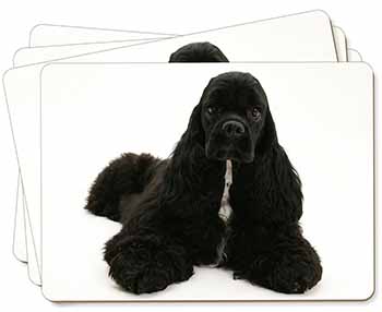 American Cocker Spaniel Dog Picture Placemats in Gift Box