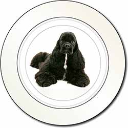 American Cocker Spaniel Dog Car or Van Permit Holder/Tax Disc Holder