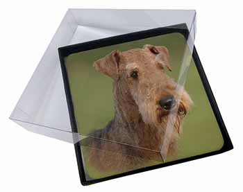 4x Airedale Terrier Dog Picture Table Coasters Set in Gift Box