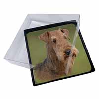 4x Airedale Terrier Dog Picture Table Coasters Set in Gift Box