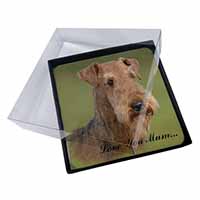 4x Airedale Terrier Dog 