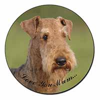 Airedale Terrier Dog 