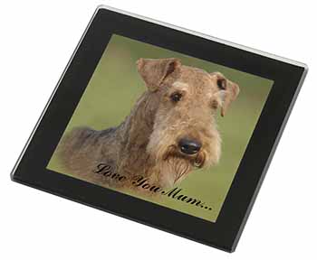 Airedale Terrier Dog 