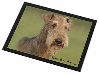 Airedale Terrier Dog 