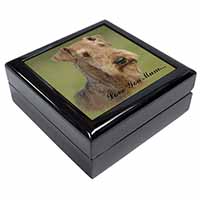 Airedale Terrier Dog 