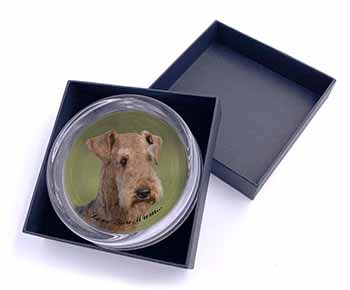 Airedale Terrier Dog 